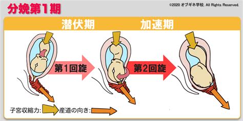 陣痛 位置